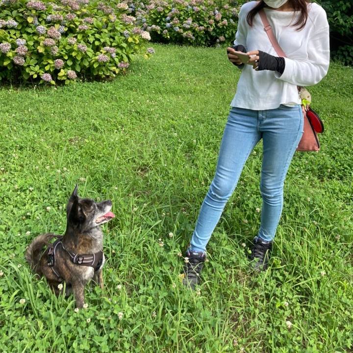 08332ca6 c0f1 4344 a20a 90c7ec938113 1628808826310