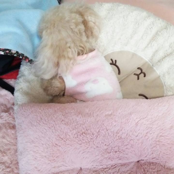 08336f59 e5a6 43ad bad0 ee858538df08 1551851568293