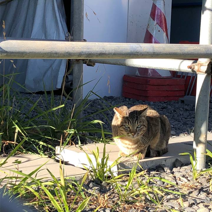 0833f2a9 a3d5 48f8 8da3 39259336f12a 1547047224464