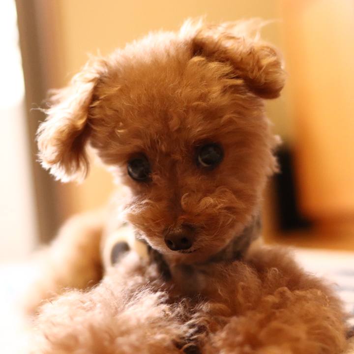 08344408 412f 4932 888e 29cabc88079b 1600760889922