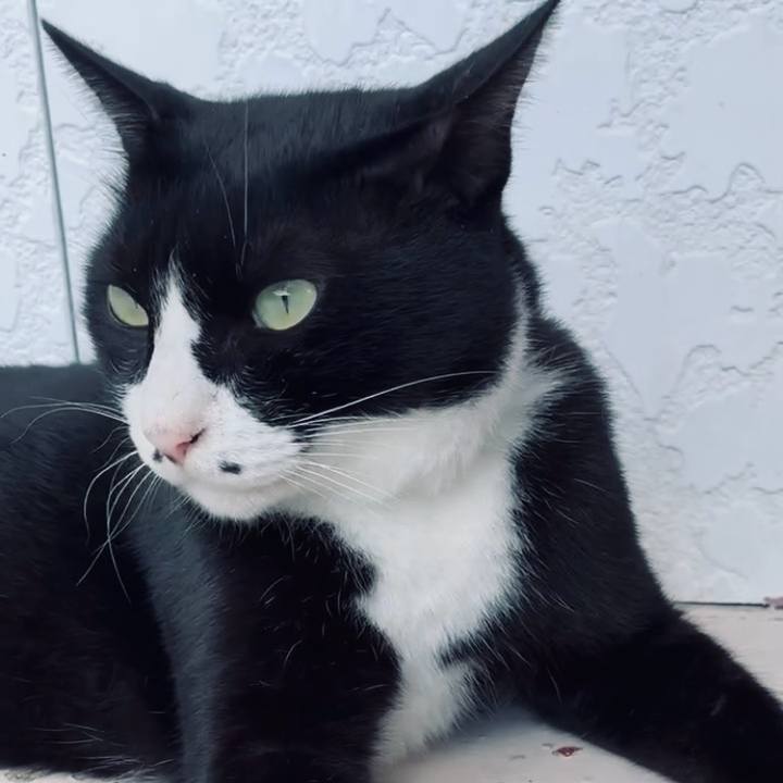 08344e01 1ae4 4c42 9975 021d64ec53c6 1755226985584