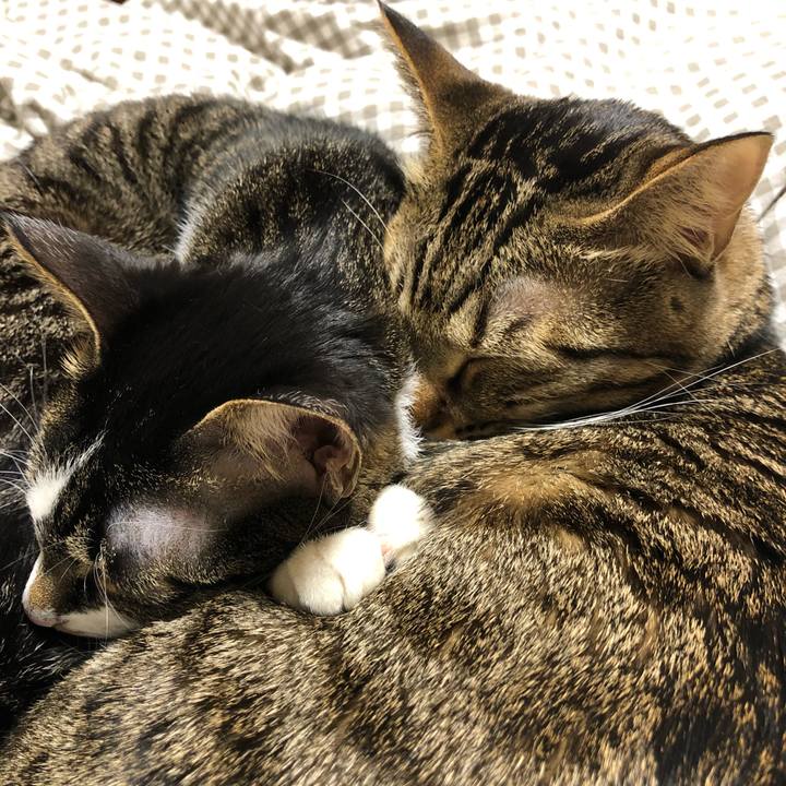 083456f9 594f 4eb7 ad46 97685679ff2a 1515947858515