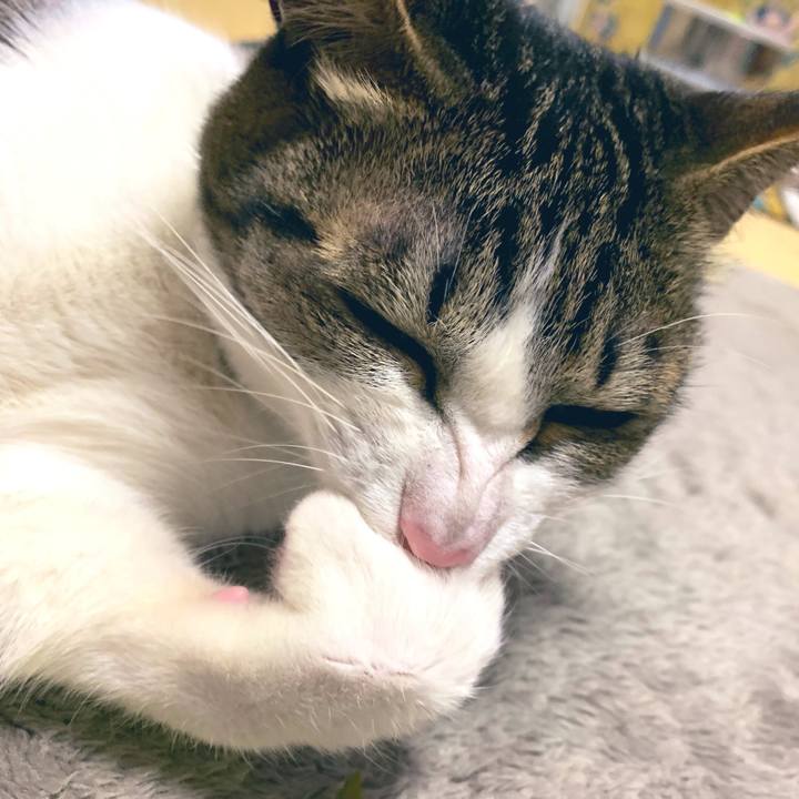 0834784b fdfa 4d29 b599 0405732ea7b2 1549585211770