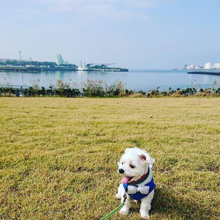 083481ad 1c99 4a21 83b5 0a5fc7fc70a2 1538824405780