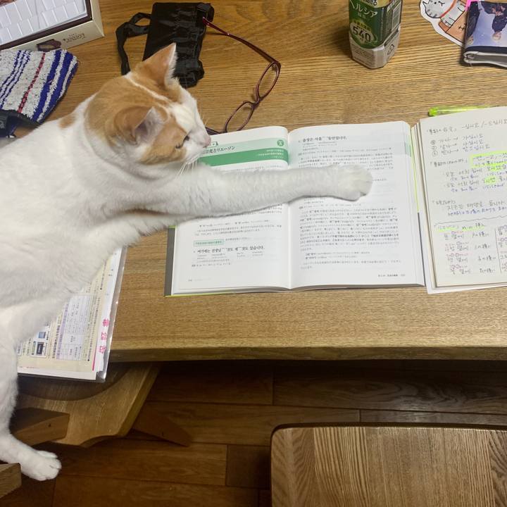 0834911c 0e88 4d79 8dfb 5fdc5150dd28 1593869124571