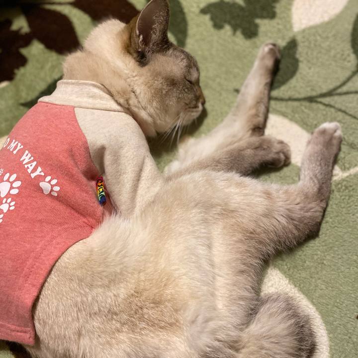 0834a7c7 2fe3 495c a01b 67ab7782776d 1615852845927