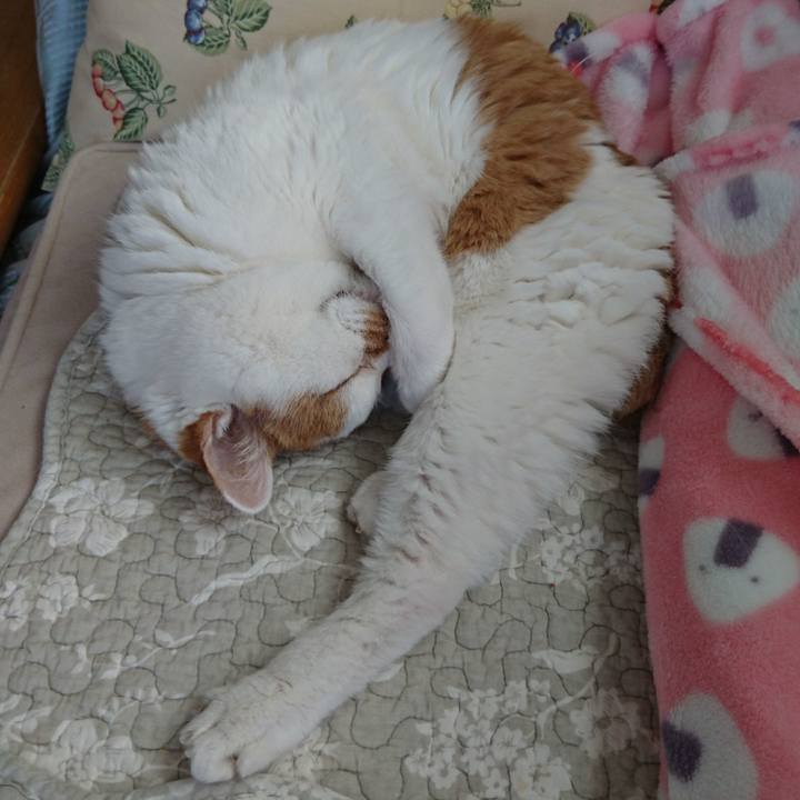 0834d089 e039 47f3 b1fc c234892de366 1556407467875