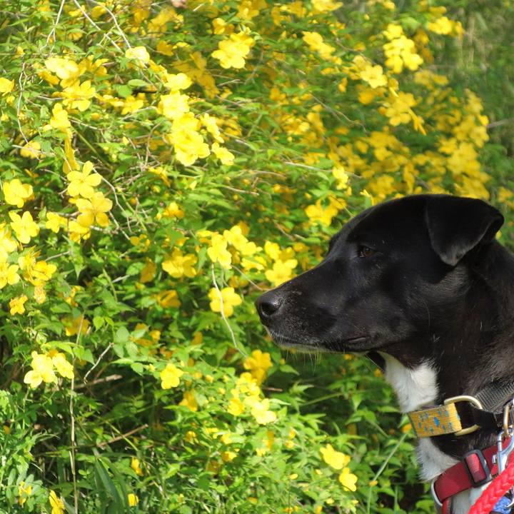 0834d298 5ef4 4d54 aa7a 083518fdcbd6 1585959864363