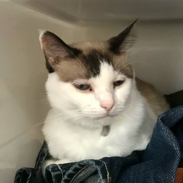 0834d948 268d 40e2 9e05 fc416d38edc6 1633051669255