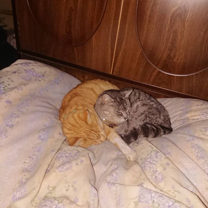 0834e627 77a2 48c6 affe 427edcd24d11 1582299512488