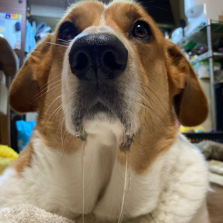 0834fd18 a540 49c4 bd77 5416a93cdbd3 1712189040799