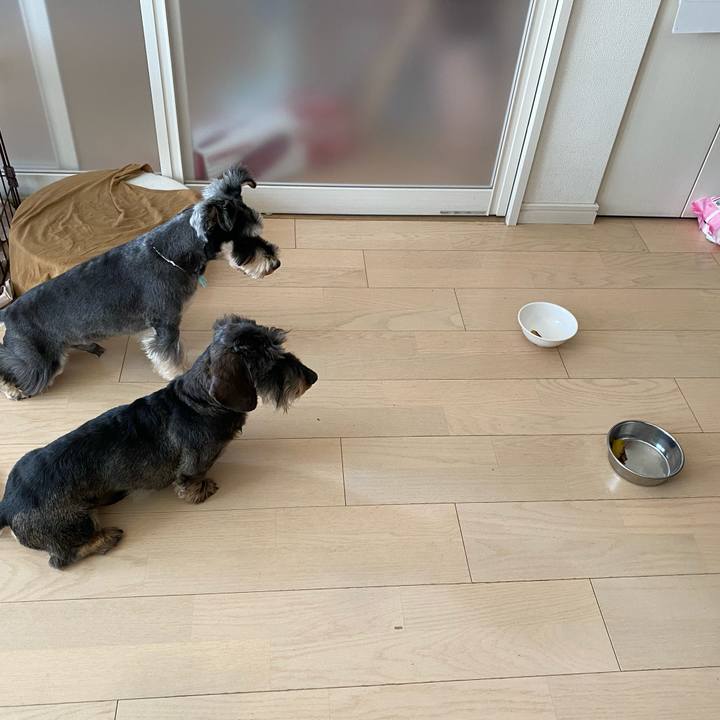 08350f84 60b6 488e a7cd d59df3d4e883 1618122938312