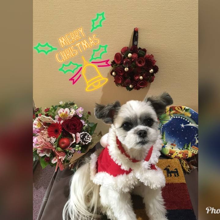 083514dc 428c 4897 95a4 5141b5ba72d4 1514084133381