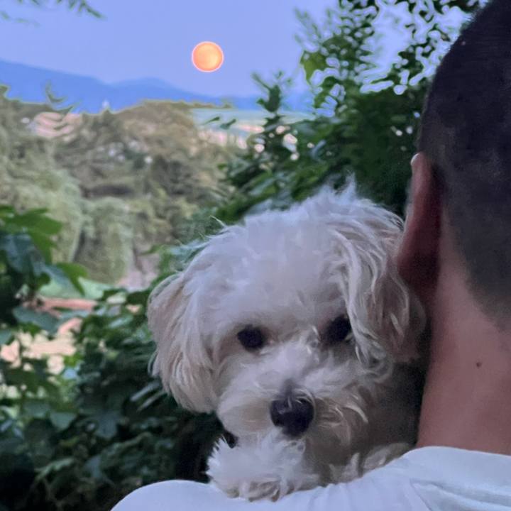 08353867 5014 45aa bc16 6991f5121efa 1757427218785