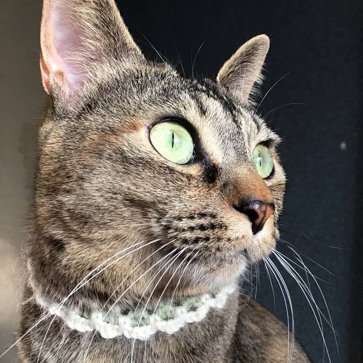 083565cc 8ede 42fd b852 677fae81193a 1648073809472