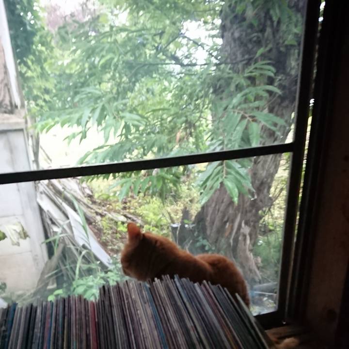 08359087 f990 45b4 b12c a225982e66c6 1658528405528