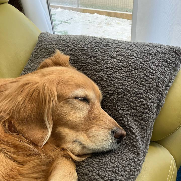 0835ee64 fbc3 4573 8130 b8eae399738e 1739927844620