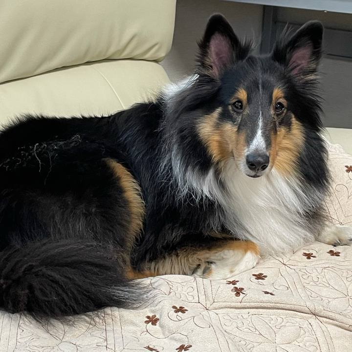 0835f2c6 e4e9 4464 af5a 48a317c2688b 1610579187885