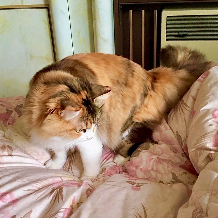 0836485d 2c72 4aec a3ee 1e4649da5e60 1589786096593