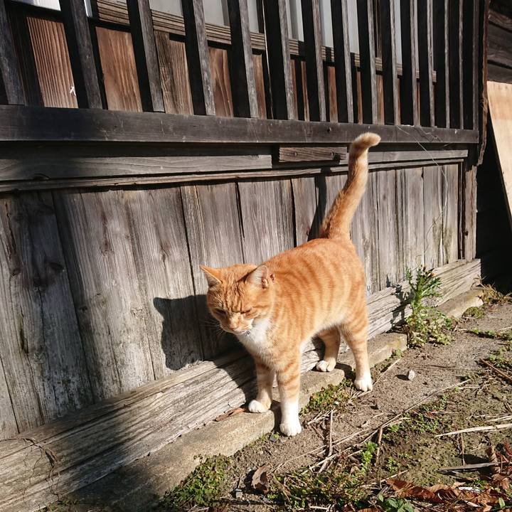 08365b4e 6720 4125 a4ad 9fc878a07ab4 1607133327549