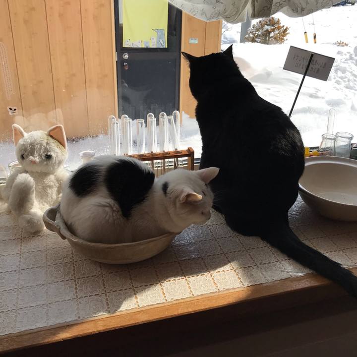 08368e6c 1853 4f23 98f5 d2727df00a36 1647748399770