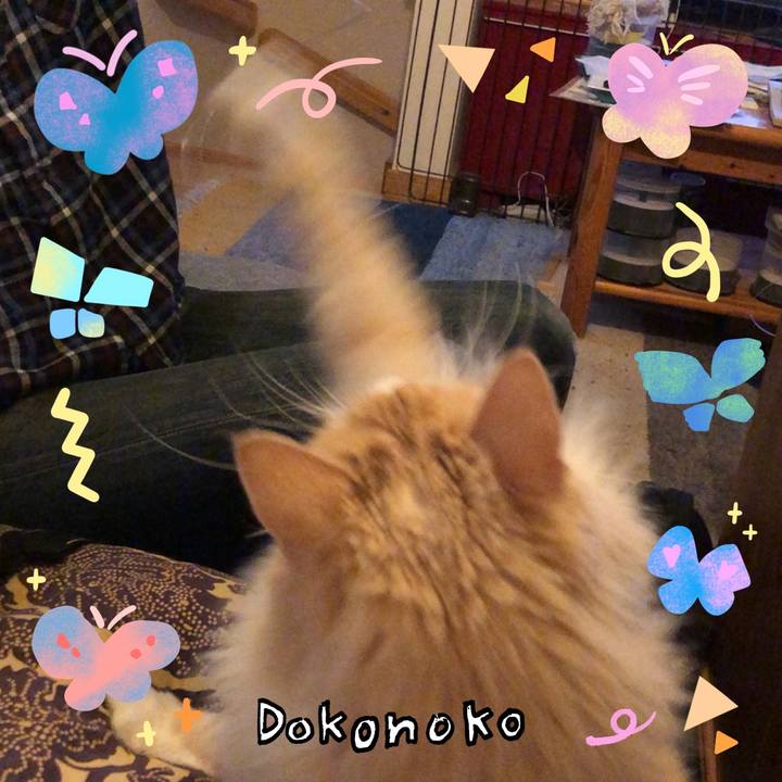 0836dd0d 3e7f 4308 9faa 4b2f8cbfd06e 1711374896769