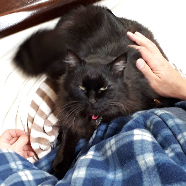 0836e568 ee11 4ca5 ad3b 9b22463d037f 1519383688658