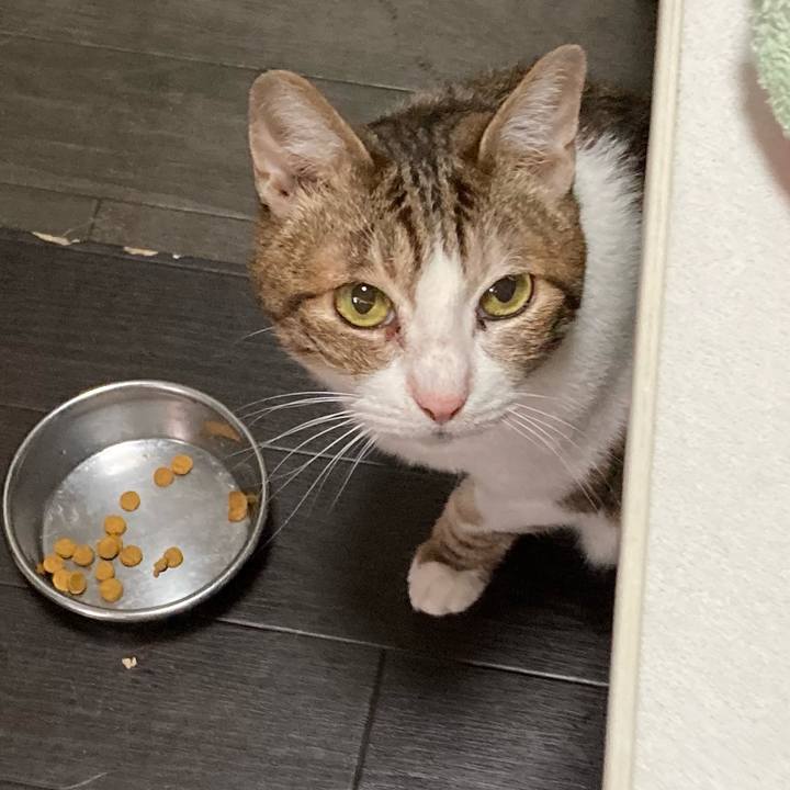 08373ab7 d631 4a72 8853 594caa08415c 1626078188200