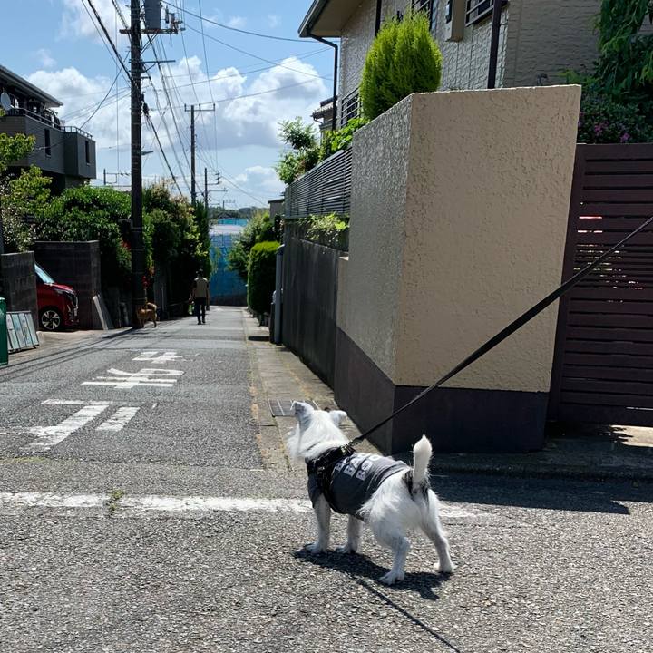 08374796 b1cb 4062 a933 6163c5c3173f 1653438716666