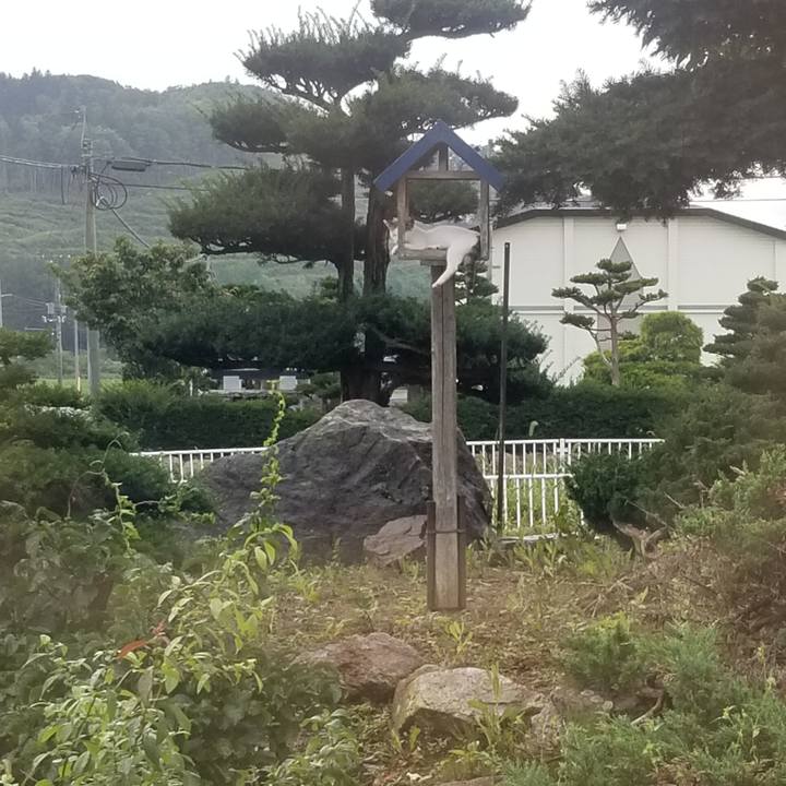 083778d4 efed 413c bba5 14a1aafd0814 1693545601646