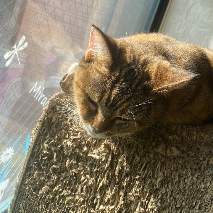 08377fb7 8ceb 4363 b6e1 7bb7cb9acc1a 1701605093459