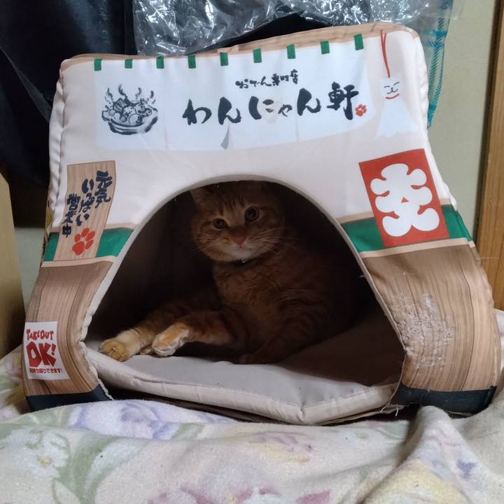 08378263 9eaa 46e2 8014 7bb687649382 1675253913942