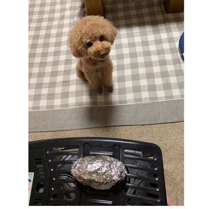 0837ba7a 1ea1 4faa bb3c e9396e915e8d 1559908965663