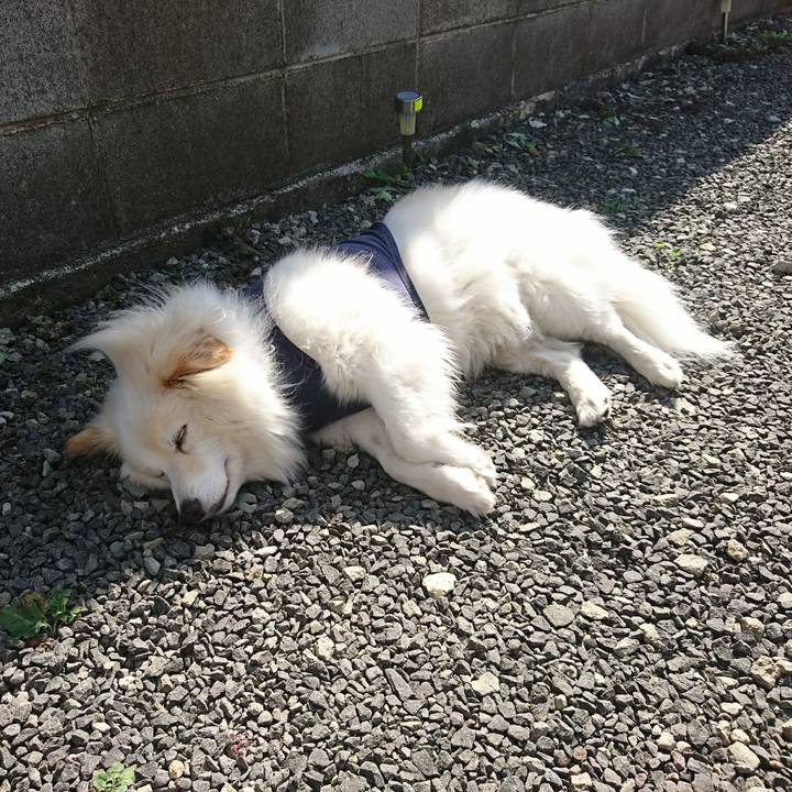 0837f01b 425a 44c0 98ba 09e5d864f89f 1524800620115