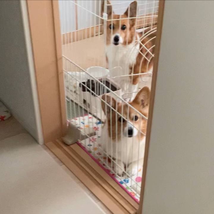 08382628 3add 49c1 bdc4 073230dc8cdc 1699070028544