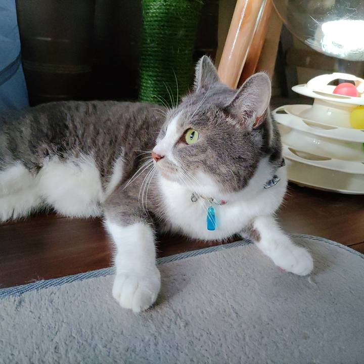 0838776b 2936 4390 8b9f e42e448bb1a8 1721946995617