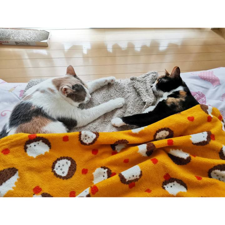 08388feb 7fee 4494 8606 19ee5b3d1a62 1652409717451