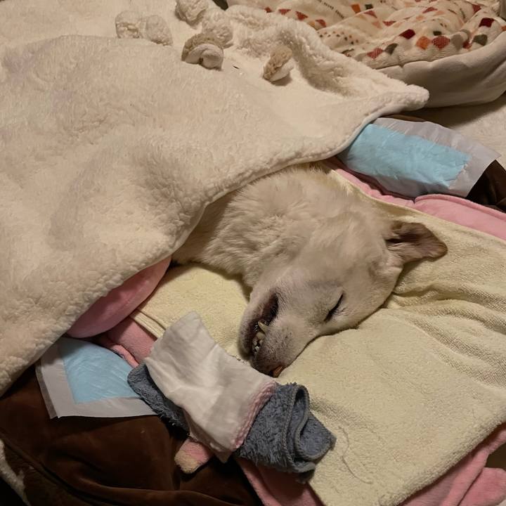 0838c43e 1e03 4d1b aff3 3e3b0e62be3b 1678384781233