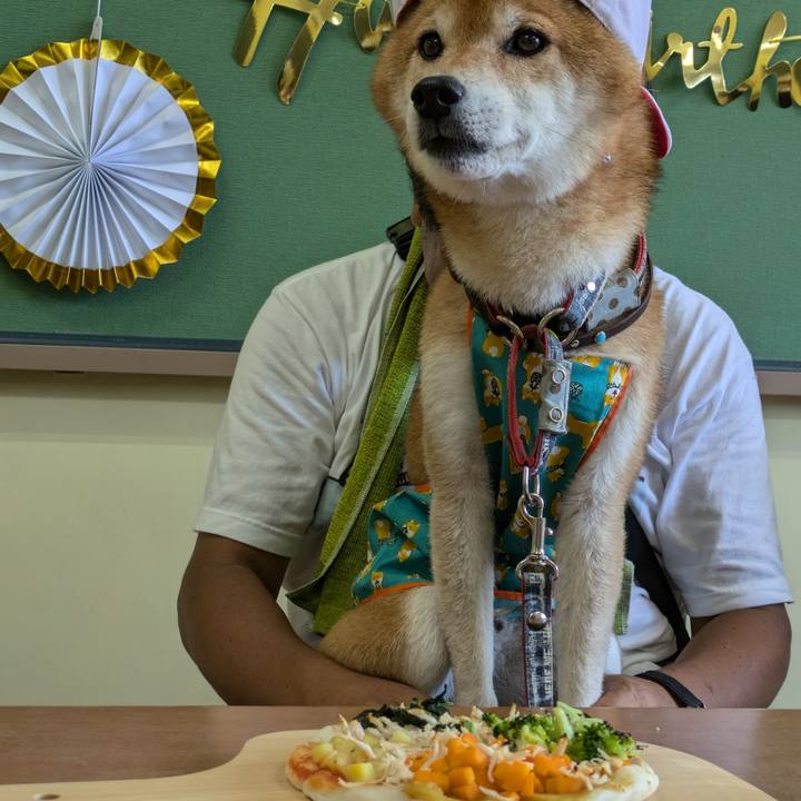 08392369 4adc 4c1c 86e9 911ccf2f66a5 1722848863679