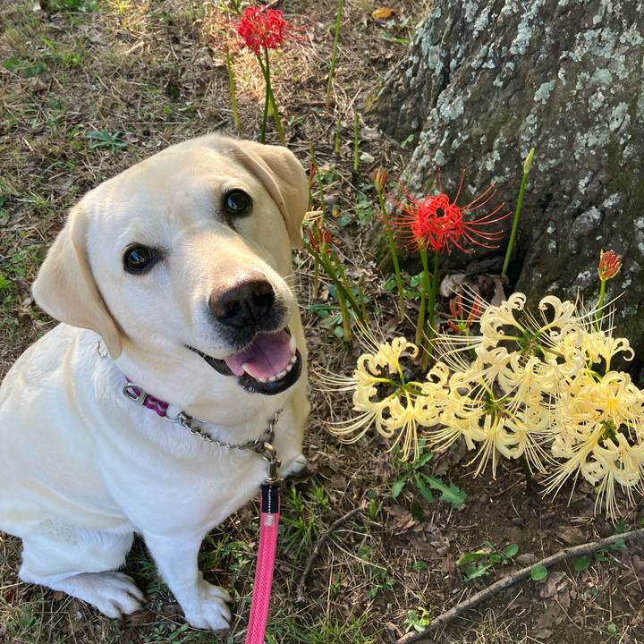 0839492f 9e50 42af b82f 4fd1eab62913 1663285073940