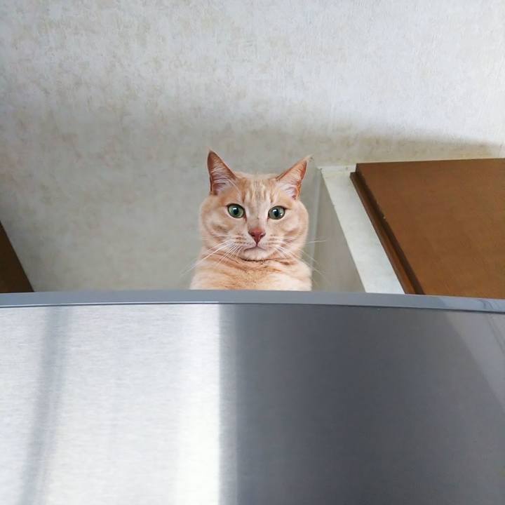 08395307 b012 4990 a015 b9e8683271c5 1675579149231