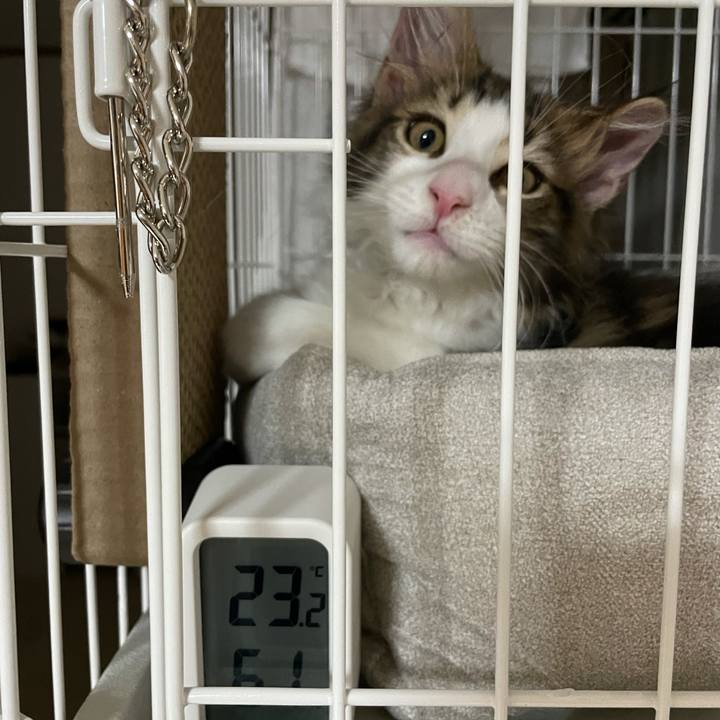 083973e4 1ca4 4294 9f56 c85b4e5f6bae 1632280900916