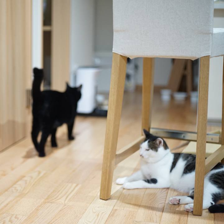 08399663 576e 45e3 848d c7edf75f52d7 1530675334933