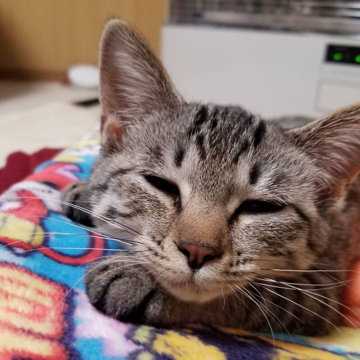 0839caff 1180 414e 8c4f bf05305c21d6 1667042227777