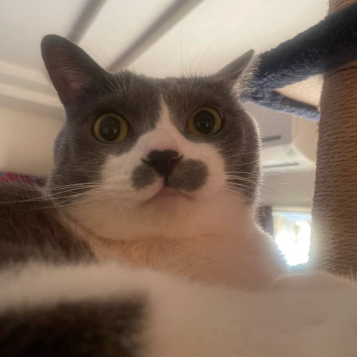 0839d696 3aa8 451f befe 0ab4d61758b5 1733178727810