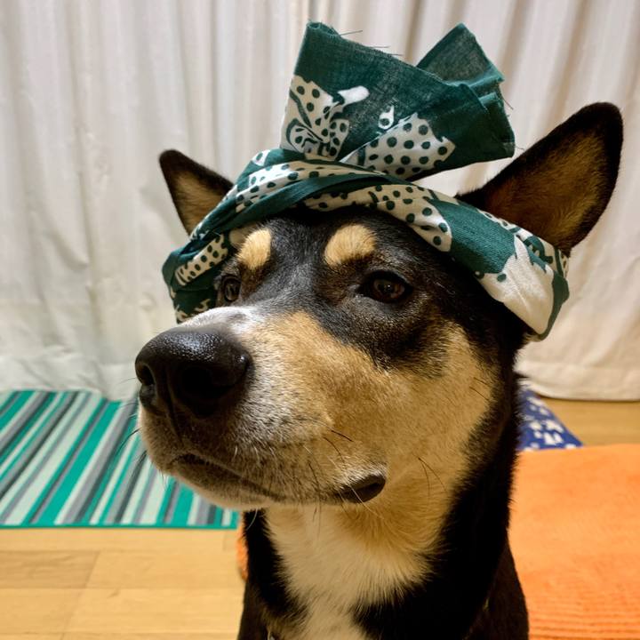 083a18bd 52d1 467f 8e29 6490875fb469 1572425708168