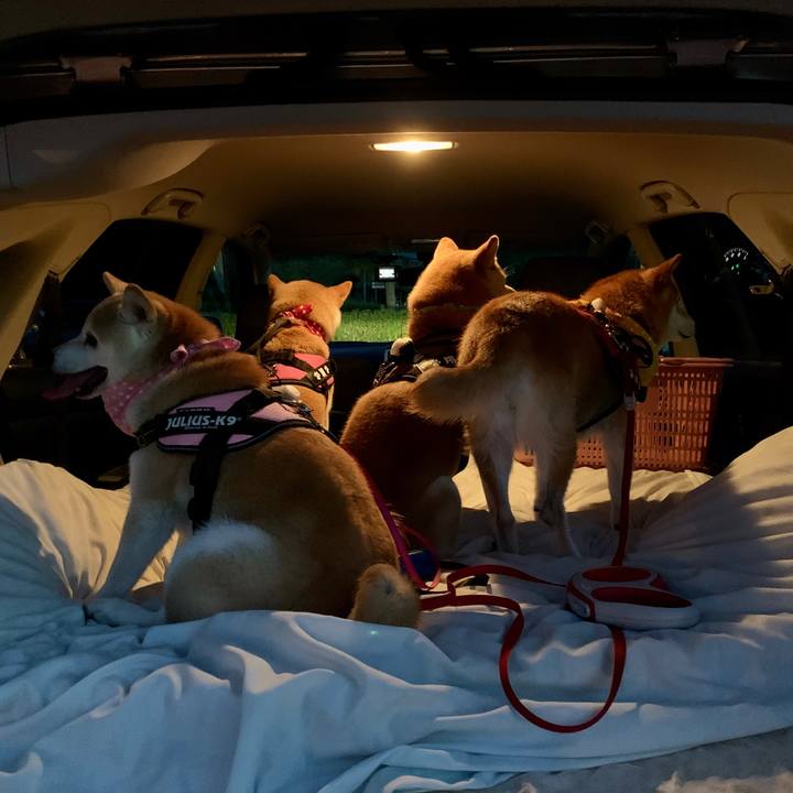 083a468b 63bd 45c3 a14d c2805e173653 1597505537350