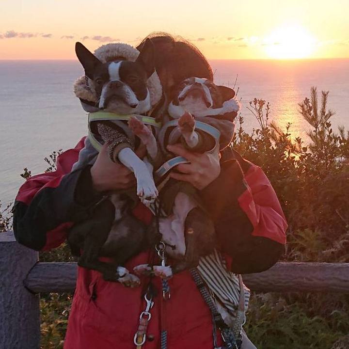 083a62d6 a0ec 42ca 8f6e dcf1184b2e90 1546324449426