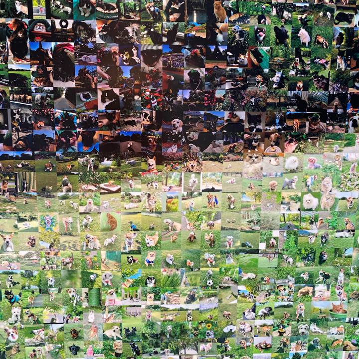 083a6b65 4637 42ca 8dbf 1e1f6471409b 1780754606103