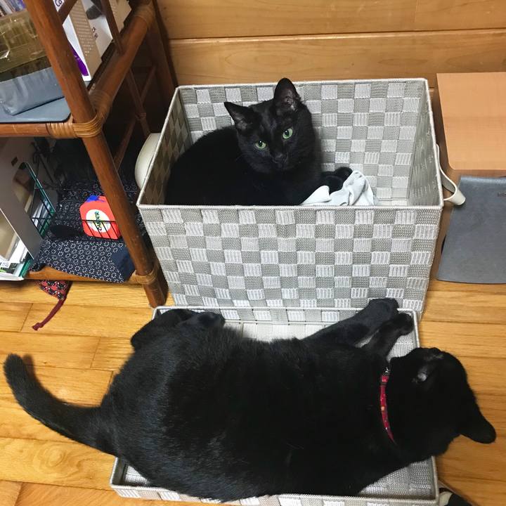 083a8cf8 7ca4 4bd8 8ad8 e15cd6ae95cf 1532094566178